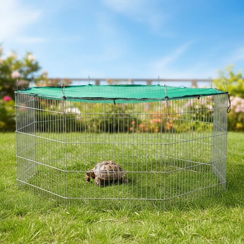 Freigehege tiergehege freilauf - freigehege,
