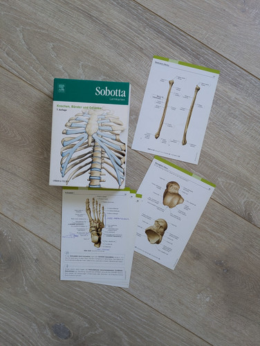 Sobotta lernkarten knochen - sobotta,