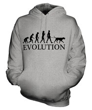 DALMATINER EVOLUTION DES