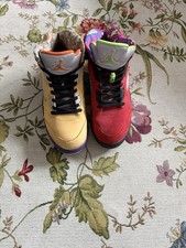 Nike Air Jordan 5 Retro SE