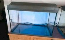 Aquarium Tetra 60l mit Licht