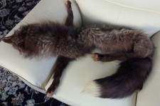 Pelzstola, Fuchs zum Umlegen