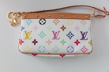 Louis Vuitton Multicolor