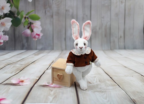Teddybär hase kaninchen - teddybär, teddy
