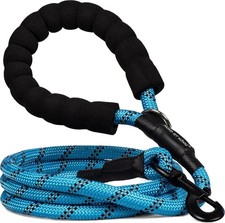 HUND IST KÖNIG Hundeleine -