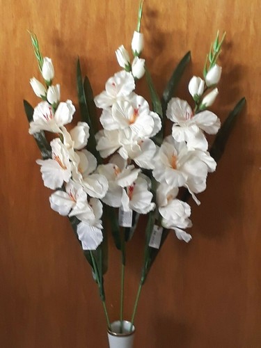 Große gladiole einzelblume - gladiole,,