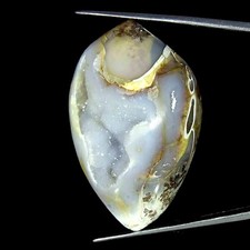 126.40Cts Natürlich Fossil