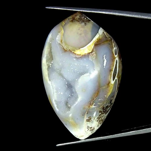 126 40cts natürlich fossil - natürlich,