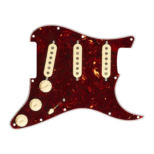 Fender prewired stratocaster - fender,