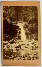 orig. CDV Foto Fotografie um