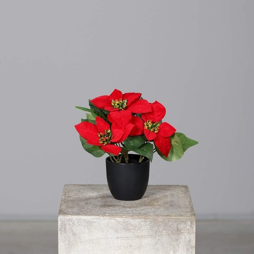Künstlicher weihnachtsstern - künstlicher,