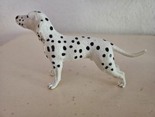 🐶🐕Dalmatiner Hund