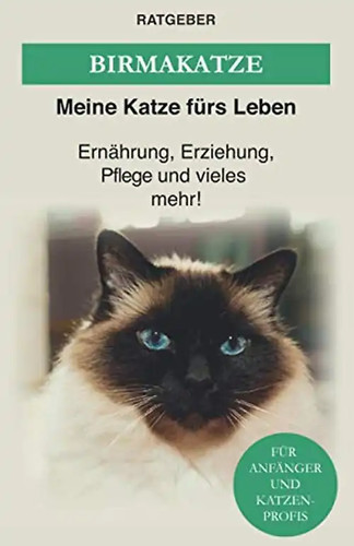 Birma katze die heilige - birma,
