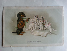 AK HUND & KATZE um 1930 , Lieder zur Laute Katzen