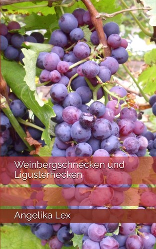 Weinbergschnecken