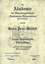 Diplom Urkunde Ehren Doktor Titel Fliesenleger