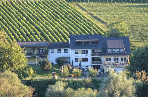 Mydays gutschein weinreise an - weinreise,