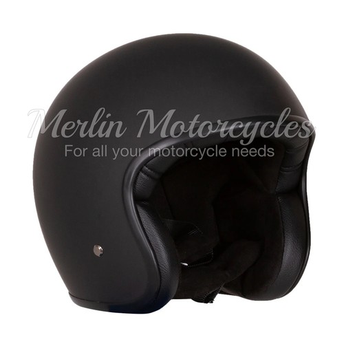 Merlin blackbird vintage - merlin, naked