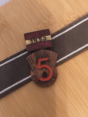 Auszeichnung ddr aktivist des - aktivist,