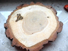 1 x Holzscheibe 14- Astscheibe