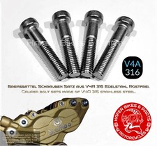 Ducati Monster 620 Edelstahl