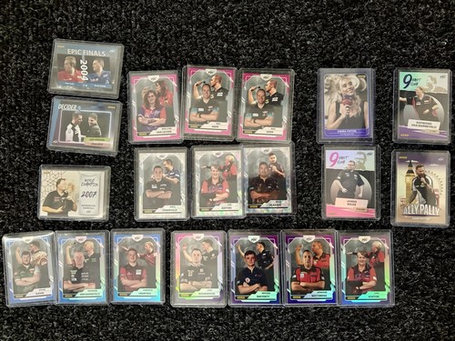 Panini darts pdc konvolut - darts,