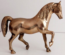 Pferd Stute große alte