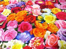 Rosen  Roses   Dirndel