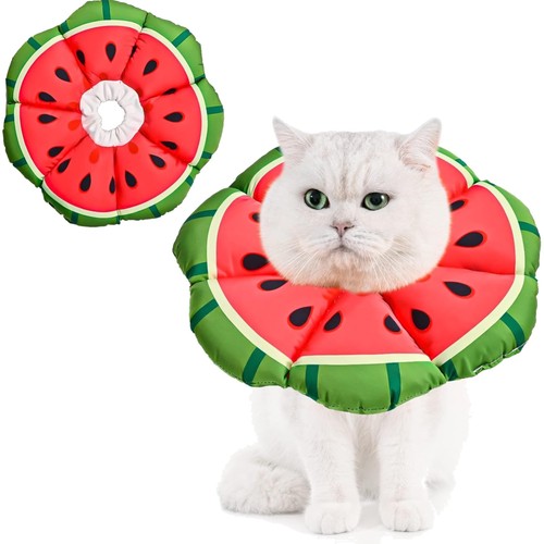 Katzen halskrause - katzen,