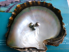 3 echte Barock Tahiti Perlen