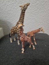Schleich Konvolut Giraffen 2