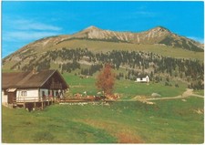 AK Grabenbergalm Wörgl Rattenberg Thiersee Kufstein Kaisergebirge Tirol 444