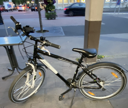 Pegasus trekkingrad - pegasus,