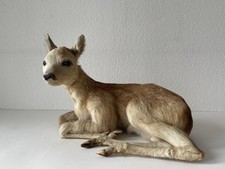 Reh, Rehkitz, Präparat, Deko, Weihnachten 