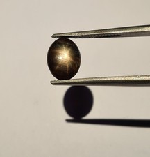 *** Mit Video: Feiner