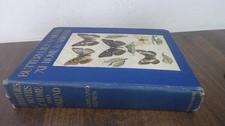 Butterflies and moths - butterflies, at
