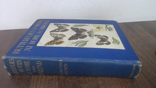 Butterflies and moths at - butterflies,
