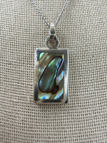 Natürliche abalone muschel - natürliche,