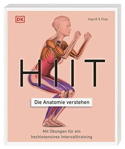 Hiit die anatomie - -, verstehen