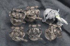 6x Chosen, 4x Melta, 1x