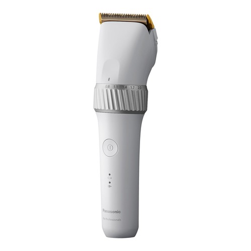 Panasonic 50 silber - panasonic, er