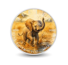  Joyful Splash - Little