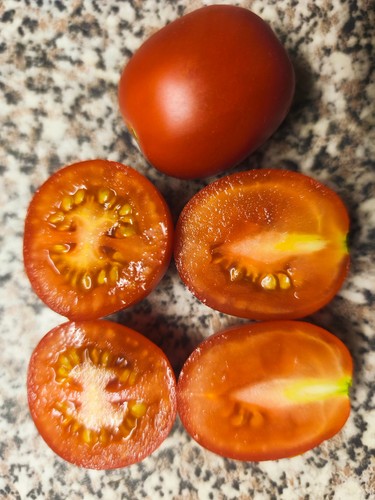 Tomatensamen baumtomate - 10, "baumtomate"