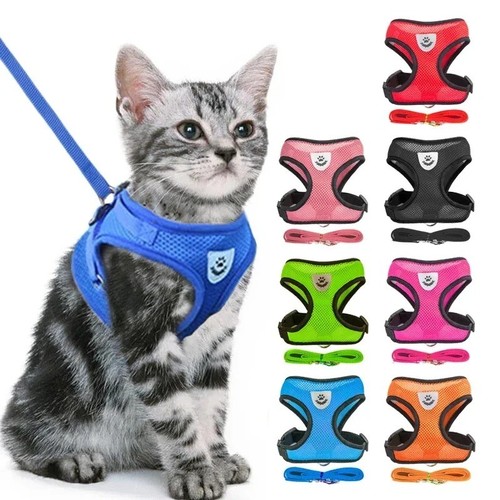 Haustier katze geschirr weste - haustier,