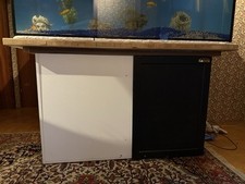 Aquarium Mit 16 Goldenen Fischen