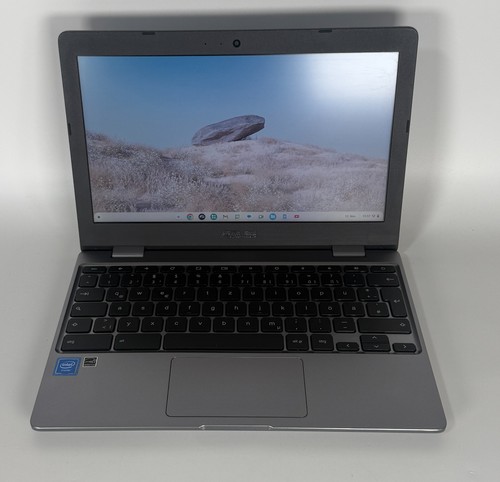 Asus chromebook c223n - chromebook, laptop