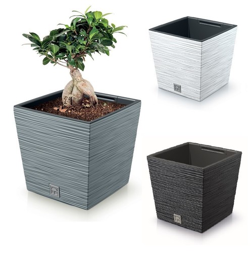 Blumentopf blumenkasten - blumentopf,