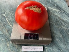 Tomatensamen, Fleischtomaten