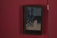 354241 Karl May DAS BUSCHGESPENST Karl-May-Verlag HC