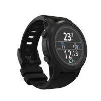 Shearwater Tern TX -